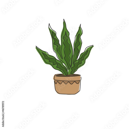 One continuous line drawing of potted snake plant for home decor logo identity. Fresh evergreen perennial plant concept for plant icon. Modern single graphic line draw design vector illustration