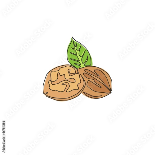 Single continuous line drawing whole healthy organic walnut and leaves for orchard logo identity. Fresh nutshell concept for healthy seed icon. Modern one line draw design vector graphic illustration