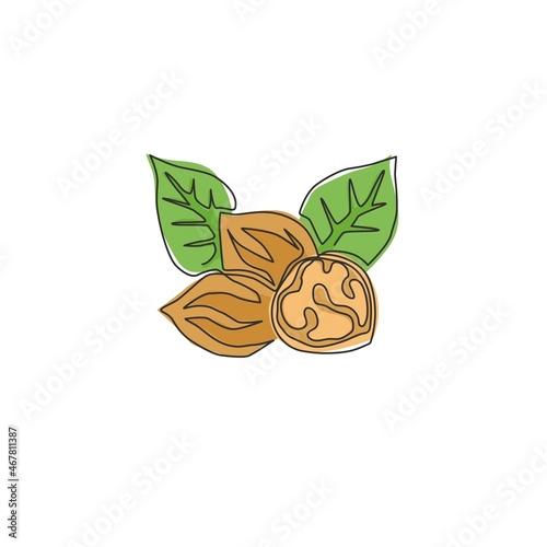 One single line drawing of whole healthy organic walnut food and leaves for orchard logo identity. Fresh nutshell concept for healthy seed icon. Modern continuous line draw design vector illustration