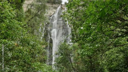 Looking up at Cascading Tall Waterfall in New Zealand Forest photo