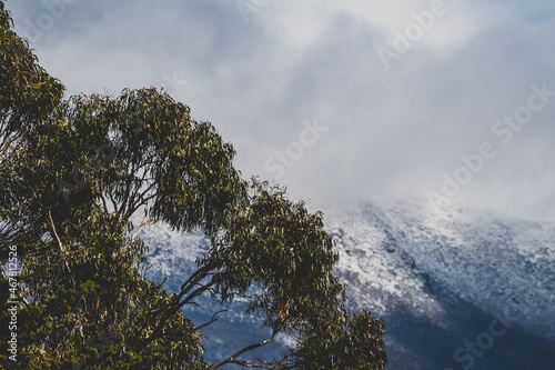 Snow on the mountain tops and clouds rolling over the thick vegetation shot in Tasmania, Australia