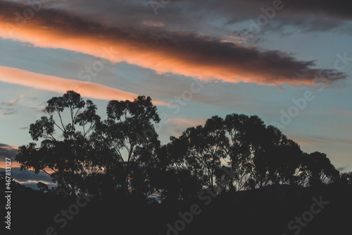 pink and orange sunset clouds formation over the mountains with eucalyptus gum trees in the foreground