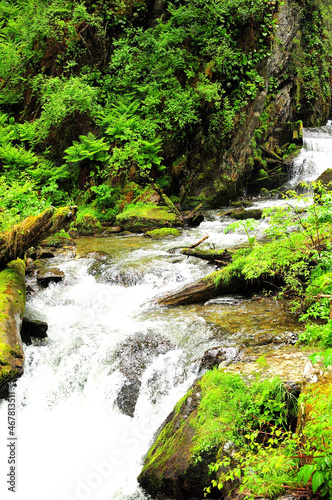 A small waterfall cascades down the fire through the summer forest.