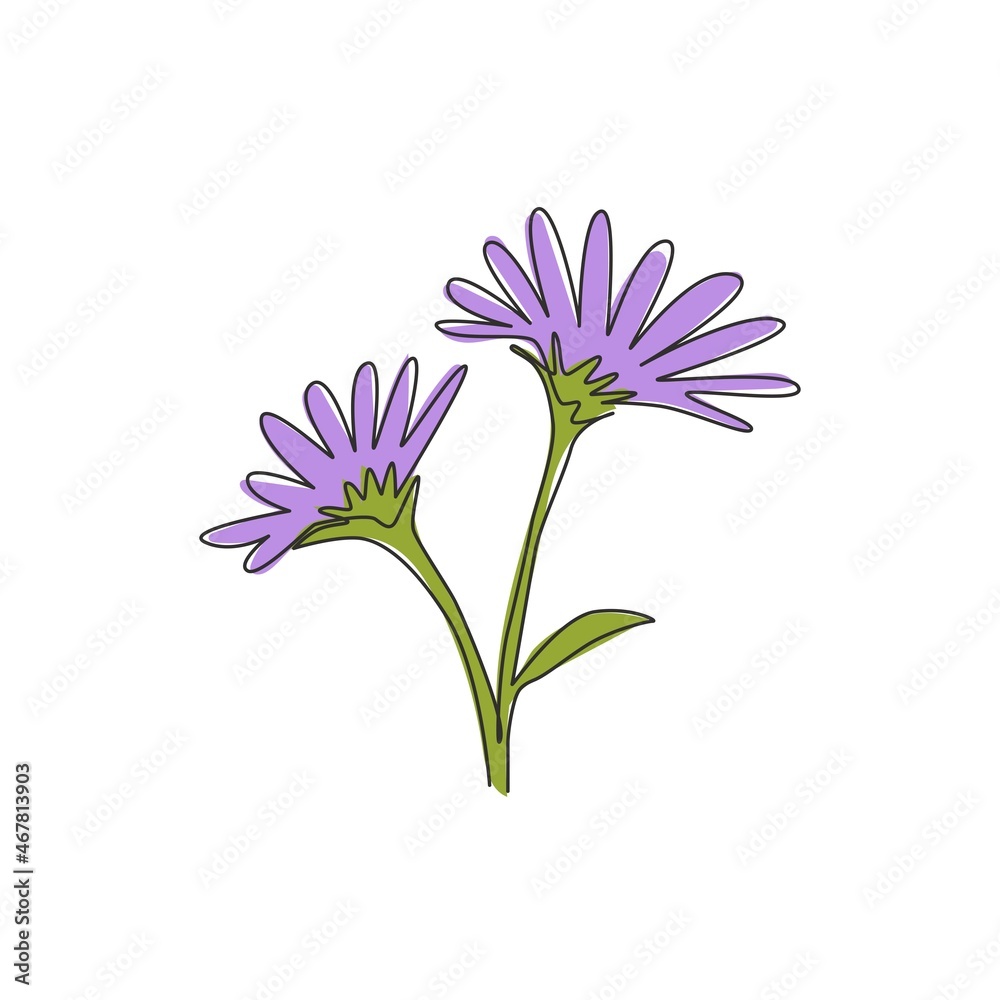 Single continuous line drawing of beauty fresh perennial plant for home decor wall art poster. Printable decorative aster flower for wedding invitation card. One line draw design vector illustration Single continuous line drawing of beauty fresh perennial plant for home decor wall art poster. Printable decorative aster flower for wedding invitation card. One line draw design vector illustration