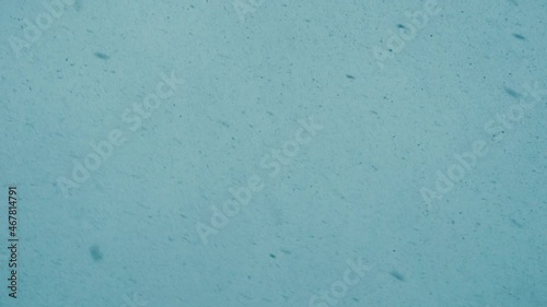 Beautiful snowfall or blizzard on the background of the cinematic blue sky in slow motion. Merry Christmas background.
