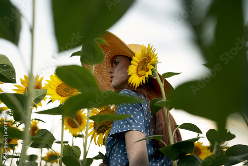 pretty woman with hat in the field of sunflowers freedom nature