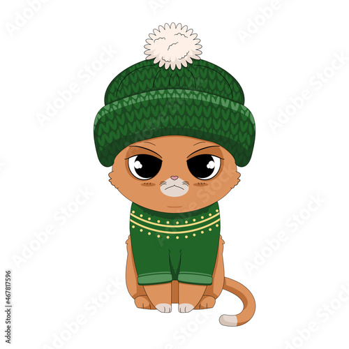 Uroczy mały kotek w dużej wełnianej czapce z pomponem i zielonym ciepłym sweterku. Wektorowa ilustracja siedzącego kota. Kot w ubraniu gotowy na zimę i śnieg. Rudy kotek z niezadowoloną miną.