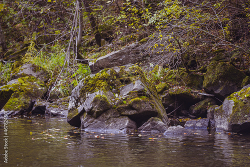 large stones overgrown with moss in a forest on a mountain river
