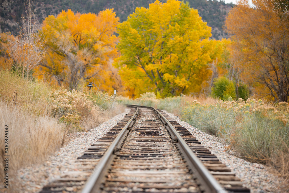 railway in autumn