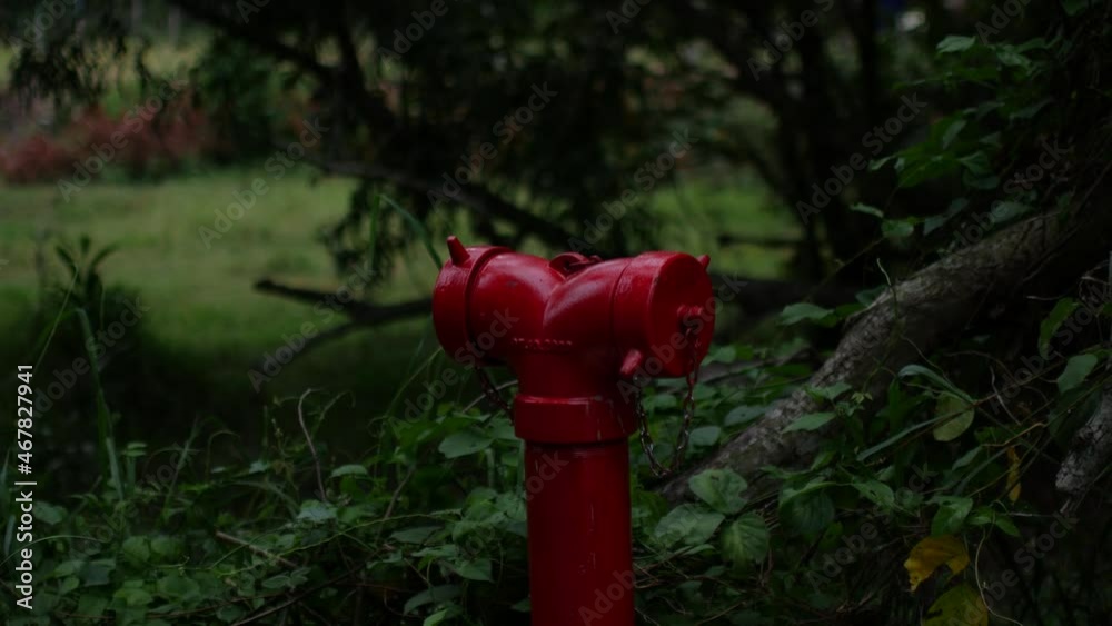 Red fire hydrant near the road Red fire hydrant near the road