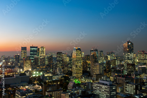 Panoramic view of Tokyo cityscape at night. © hit1912