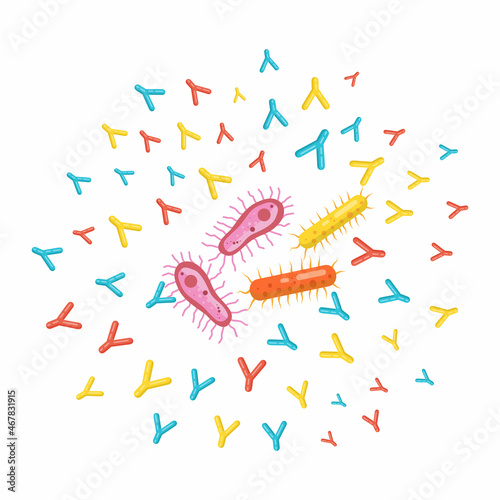 illustration vector antibodies attacking bacteria for protect the body