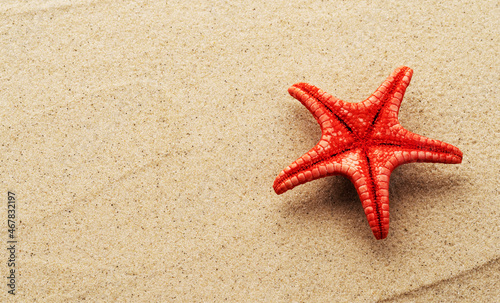 red starfish on sand close up