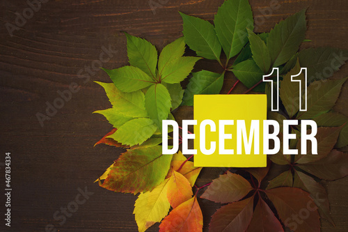 December 11st . Day 11 of month, Calendar date. Autumn leaves transition from green to red with calendar day on yellow square, wooden background. Winter month, day of the year concept. photo