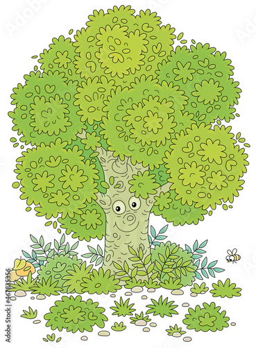 Big branchy oak tree, green...