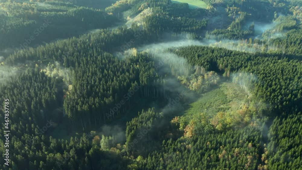 Cloud of mist through the green forest of Sommerain, Belgium -Aerial Cloud of mist through the green forest of Sommerain, Belgium -Aerial