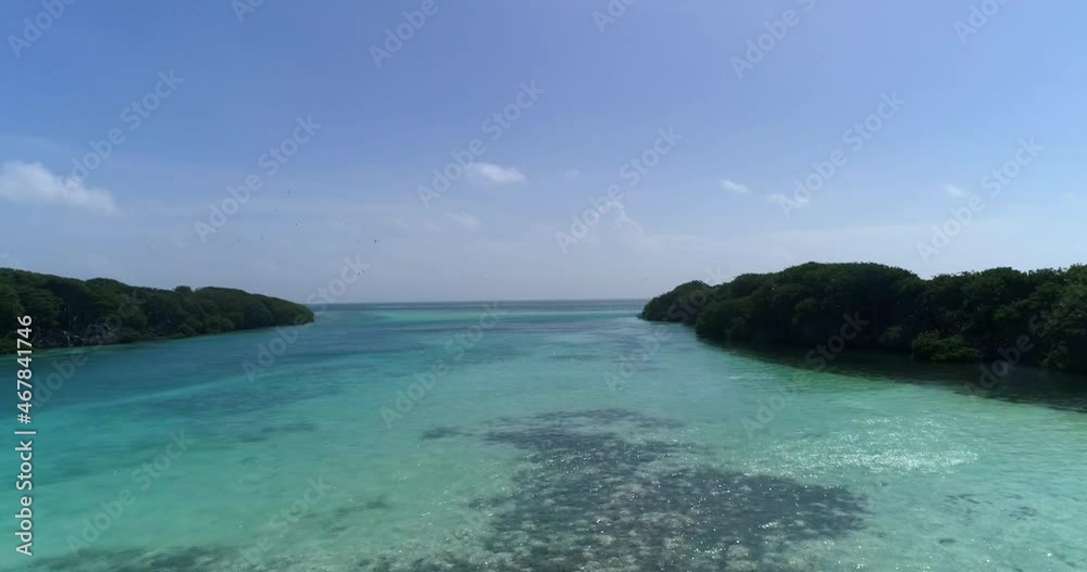 aerial view Forward Flight Over bluewater canal of Mangroves in los roques aerial view Forward Flight Over bluewater canal of Mangroves in los roques