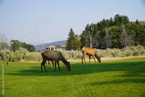 Nature and Places