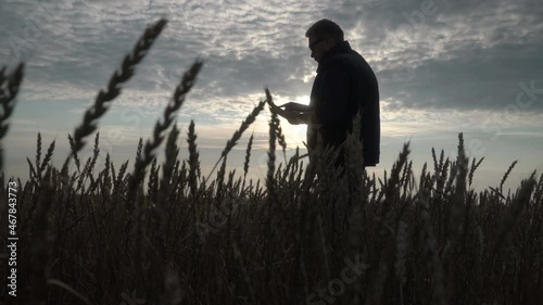 Businessman is working with the help of agro application on smartphone.