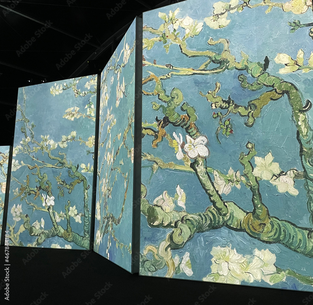 Brisbane, Queensland/Australia October 29 2021 Van Gogh Alive