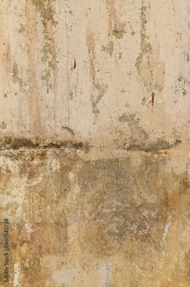 Fototapeta premium old concrete wall texture close-up