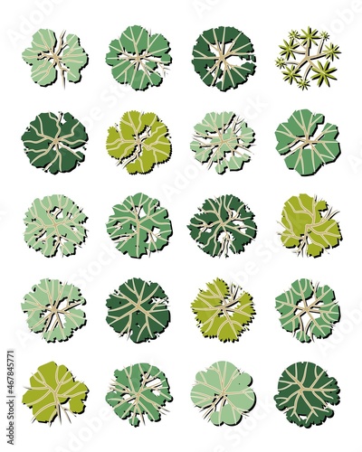 vector set of top view tree.