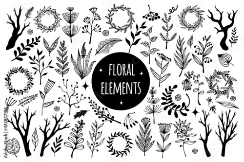 Vector set of wild flowers. Hand-drawn illustration isolated on white background. Field plants, meadow grasses. Botanical elements leaves, berries, vine, branches, herbs. Silhouette of flora. 