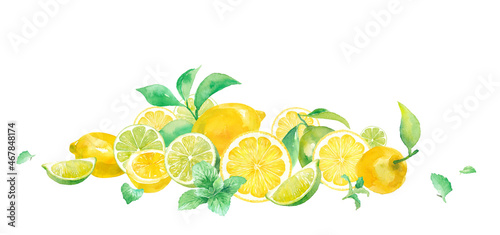 爽やかなシトラスとミントの水彩イラスト。レモンとライムの収穫イメージ。（ベクター。レイアウト変更可能）