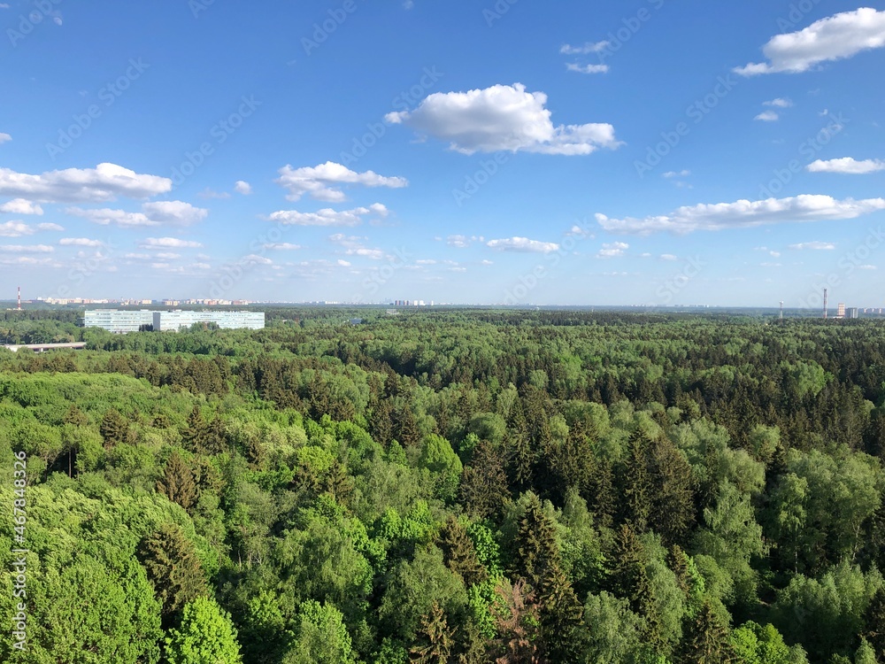 a view down on the forest and the city. summer, moscow region