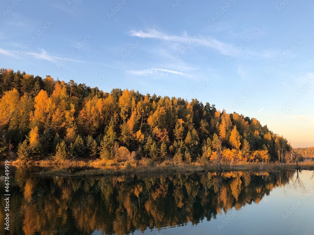 Obraz premium autumn forest near the lake evening sun
