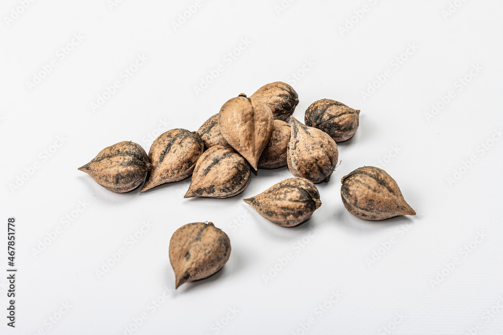 Ripe Juglans cordiformis Maxim or heart-shaped walnut isolated on white background Ripe Juglans cordiformis Maxim or heart-shaped walnut isolated on white background