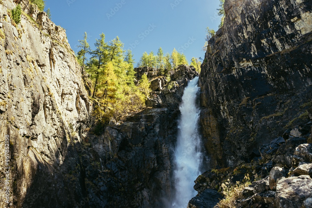 Scenic autumn landscape with vertical big waterfall and yellow trees at mountain top in sunshine. Powerful large waterfall in rocky gorge. High falling water and trees of golden colors in fall time.