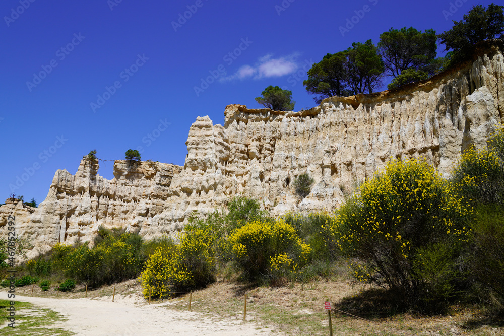 Orgues de l'ille sur tet french natural park sandstone geological stone mountain formation in france