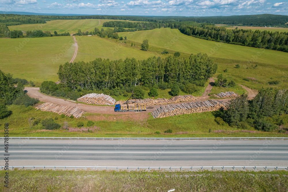 Obraz premium The deforestation of Siberia: economic and environmental problems in russian forest management.