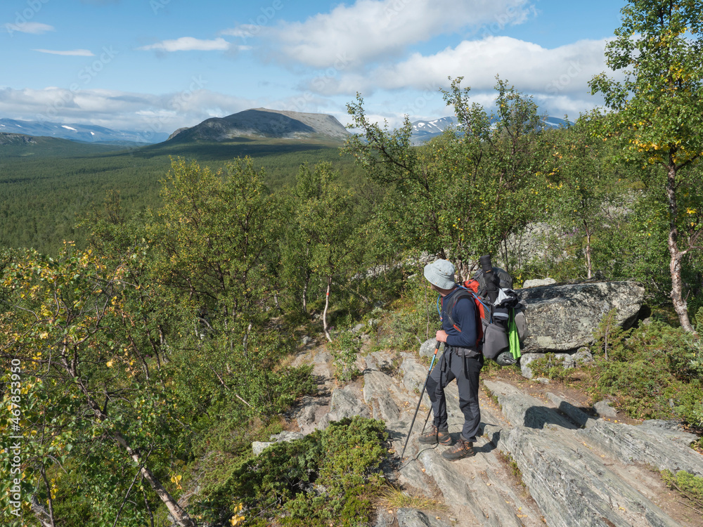 Fototapeta premium Man backpack hiker at Kungsleden trail admiring nature of Sarek in Sweden Lapland with mountains, rock and birch and spruce tree forest. Summer sunny day, blue sky white clouds.
