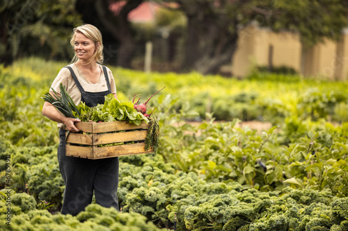 Fotografia Self-sufficient organic farmer holding a box full of fresh produce