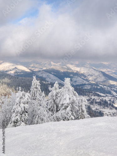 snowed ukrainian carpathian mountains