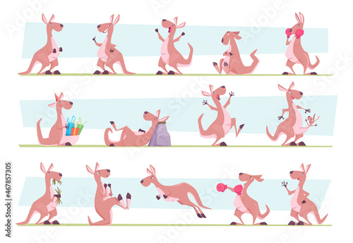 Kangaroo. Australia authentic animals jumping in wild flora exact vector animal character in various poses