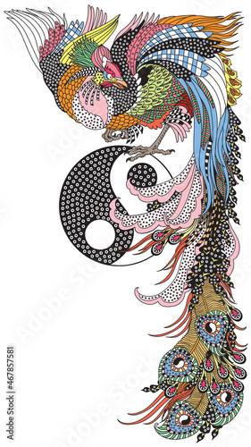 Chinese phoenix or Feng Huang Fenghuang mythological bird and Yin Yang symbol. One of celestial feng shui animals. Graphic style vector illustration