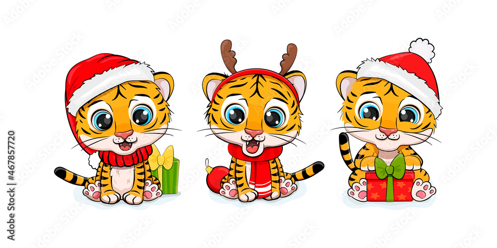 Collection of Christmas tiger, Merry Christmas illustration of cute tigers with accessories, hats, scarves and gifts. Set of chinese tiger Collection of Christmas tiger, Merry Christmas illustration of cute tigers with accessories, hats, scarves and gifts. Set of chinese tiger