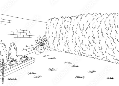 Backyard garden graphic black white sketch illustration vector 