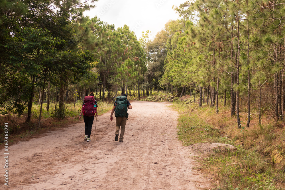 Fototapeta premium Young man and woman backpack and trekking at the mountain.Traveler walking on the adventure road in the forest.Lover on summer vacation trip in the mountains.