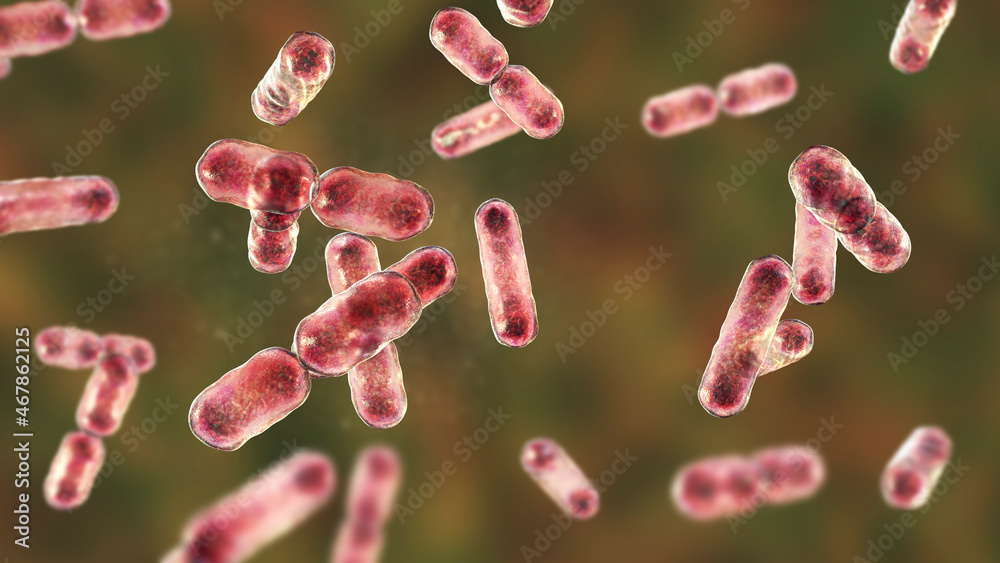 Bacteria Bacteroides, 3D illustration Bacteria Bacteroides, 3D illustration