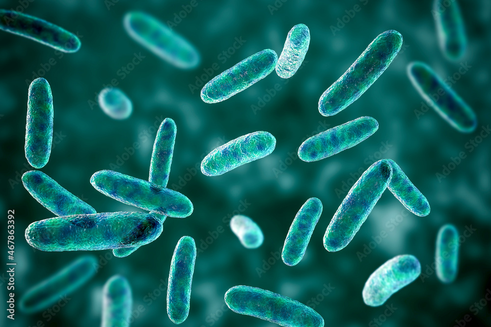 Bacteria Citrobacter, Gramnegative coliform bacteria from