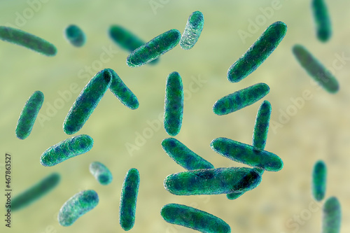 Bacteria Citrobacter, Gram-negative coliform bacteria from Enterobacteriaceae family, 3D illustration photo