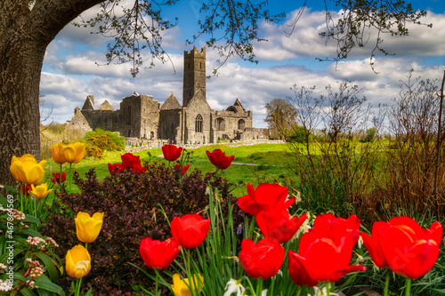 Beautiful ruins of the Quin Abbey with blooming flowers in Co. Clare, Ireland