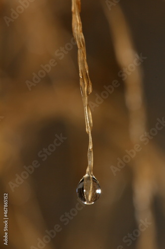 drop of water