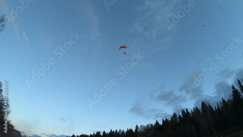 Skydiving. Skydiver is landing in the forest.