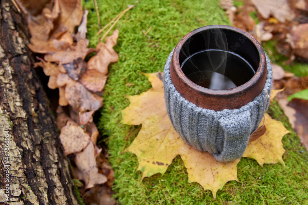 Clay mug in woolen knitted cover. Steam from the mug on the sunny background of autumn forest. Top view. Clay mug in woolen knitted cover. Steam from the mug on the sunny background of autumn forest. Top view.