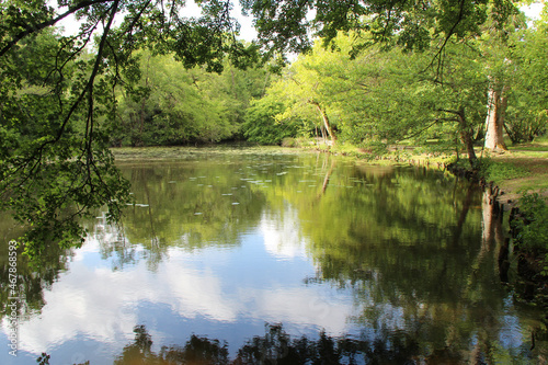 majolan park - blanquefort - france